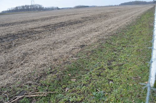 Property photo 19 - 98+/- Acres Offered in 6 Tracts or Combinations, Noble County, Indiana Farm